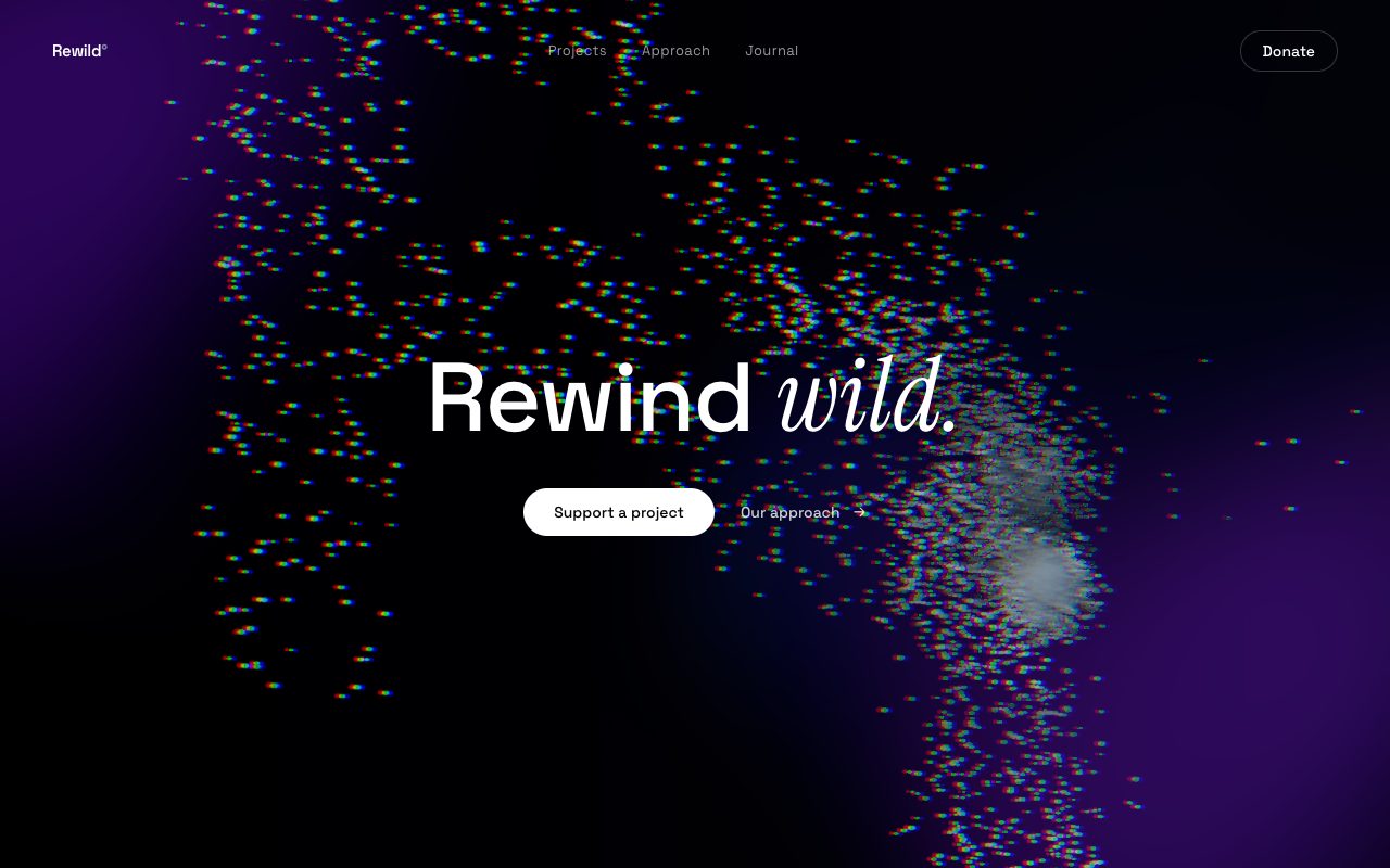 Particle Swarm Hero